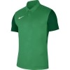 Camiseta Nike Trophy IV BV6725-303