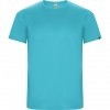 Camiseta Entrenamiento Roly Imola CA0427-12