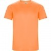 Camiseta Entrenamiento Roly Imola CA0427-223