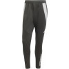 Pantaln adidas Tiro 24 Competition Winterized Pant IM9972