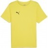 Camiseta Puma TeamRise 706132-07