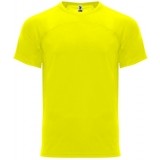 Camiseta Entrenamiento de Balonmano ROLY Monaco CA6401-221