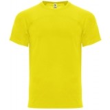 Camiseta Entrenamiento de Balonmano ROLY Monaco CA6401-03