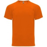 Camiseta Entrenamiento de Balonmano ROLY Monaco CA6401-223