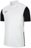 Camiseta Nike Trophy IV