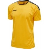 Camiseta de Balonmano HUMMEL HmlAuthentic Poly 204919-5115