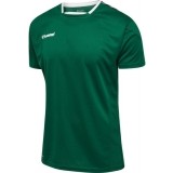 Camiseta de Balonmano HUMMEL HmlAuthentic Poly 204919-6140