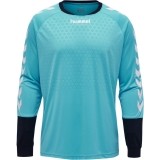 Camisa de Portero de Balonmano HUMMEL Essential 04087-7905