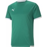 Camiseta de Balonmano PUMA Team Liga 704917-05
