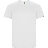 Camiseta Entrenamiento de Balonmano ROLY Imola 0427-01