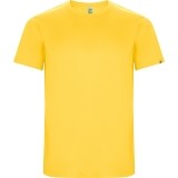 Camiseta Entrenamiento de Balonmano ROLY Imola CA0427-03