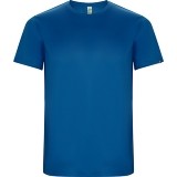 Camiseta Entrenamiento de Balonmano ROLY Imola CA0427-05