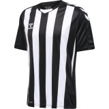 Camiseta de Balonmano HUMMEL HmlCore XK Striped 211458-2114