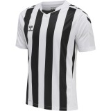 Camiseta de Balonmano HUMMEL HmlCore XK Striped 211458-9124