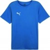 Camiseta Puma TeamRise