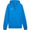 Sudadera Puma TeamGoal