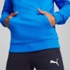 Sudadera Puma TeamGoal