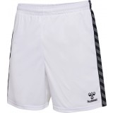 Calzona de Balonmano HUMMEL Hml Authentic Poly Shorts 219970-9001