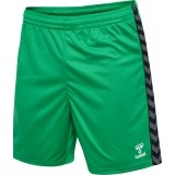 Calzona de Balonmano HUMMEL Hml Authentic Poly Shorts 219970-6235