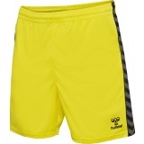 Calzona de Balonmano HUMMEL Hml Authentic Poly Shorts 219970-5269