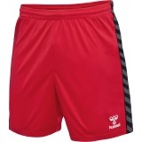 Calzona de Balonmano HUMMEL Hml Authentic Poly Shorts 219970-3062
