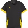 Camiseta Puma TeamGOAL